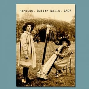 Harpists